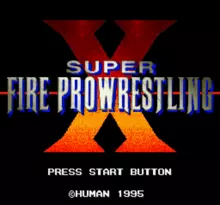 Image n° 1 - screenshots  : Super Fire Pro Wrestling X